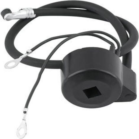 Bobine d'allumage compatible avec 30546 30560 30560A 610768 (1/3)
