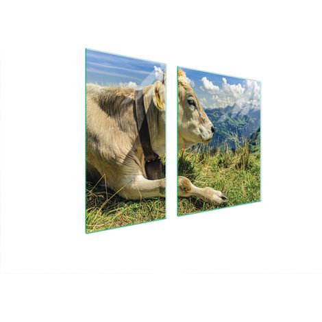 PIASTRA PROTETTIVA IN VETRO PER STUFA 90x52 COW (1/5)