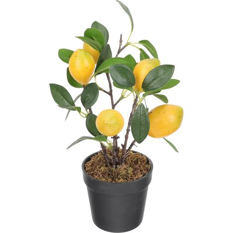 de citron artificiel réaliste et facile d entretien en (1/5)