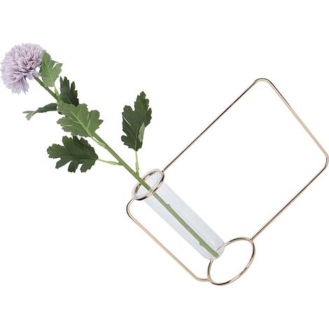 Innovativer Hängepflanztopf im Reagenzglas-Design, transparent, für Hydrokultur-Pflanzen, für Zuhause, IndoorGold (1/5)