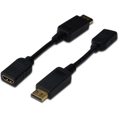 CABLE ADAPTADOR DISPLAYPORT (1/4)