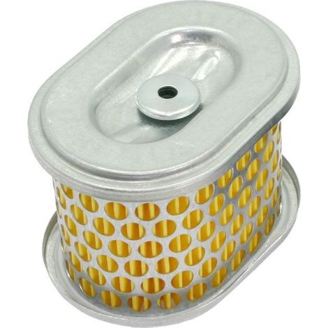 Luftfilter Rasentraktor BRIGGS & STRATTON OHV 750 horizontal 100x72x70