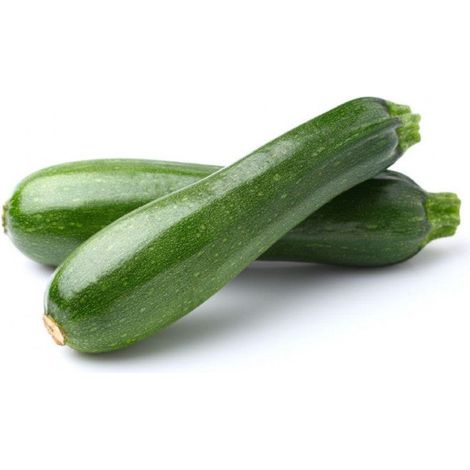 Semi di zucchino "Storr's green hybrid" piante per orto e giardino coltivazione domestica e professionale
