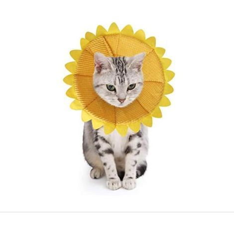(S) Collerettes pour Chiens Chat Anti Morsure Protection Ajustable Collier de Récupération Comfy Cone pour Chiens et Chat avec Adorable Motif de Tournesol Jaune (1/5)