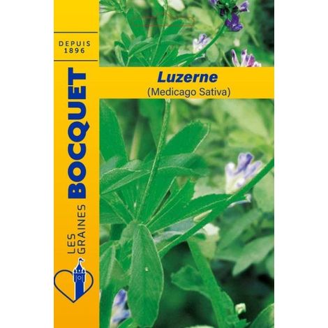 Luzerne (Medicago sativa) - 100g