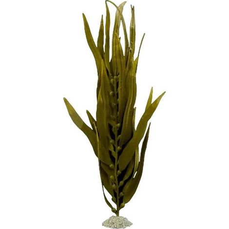 Acquario aqua-della kelp senza manutenzione design realistico 48 cm