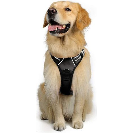 Harnais anti - traction pour chien (1/4)