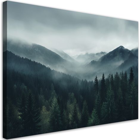 Tableau sur toile Forêt dans la brume 100x70 (1/5)