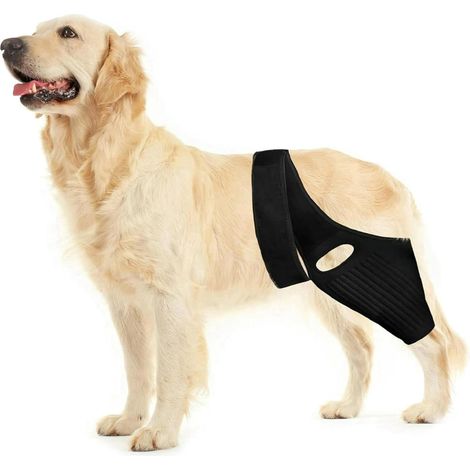 1 Genouillère Chien, Ajustable, Support ACL, Arthrite, Jambes Avant et Arrière (1/5)