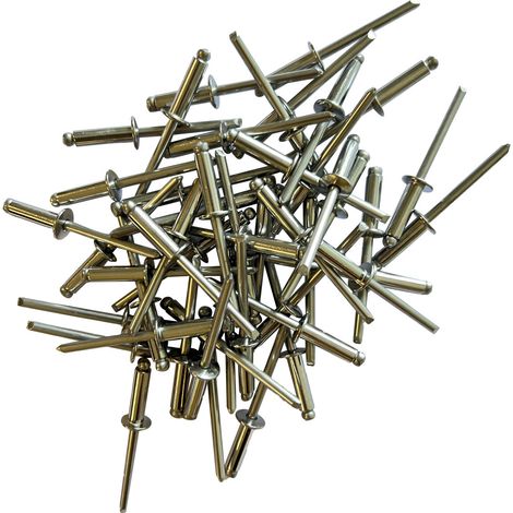 Sachet de 250 rivets inox a2 (aisi 304) standards de 4.8 x 16