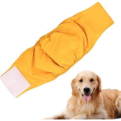 Auslaufsichere, waschbare Windeln für kleine Hündinnen Windeln für mittelgroße Kätzchen und Welpen Windeln für mittelgroße Rüden saugfähige Hundeurin-Einlagen