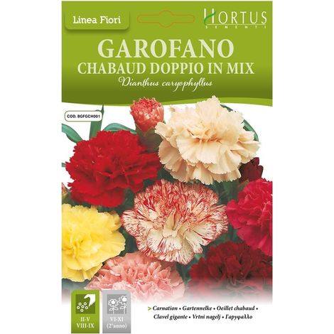 Garofano Chabaud doppio in mix DB