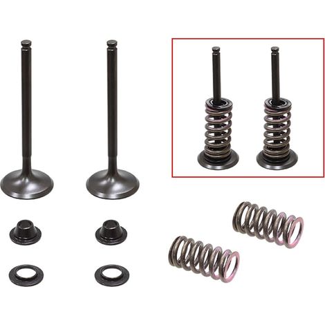 SOUPAPES D'ÉCHAPPEMENT PSYCHIQUES (JEU DE SOUPAPES AVEC RESSORTS ET RONDELLES) YAMAHA YZF 450 '10-'13 ACIER (MX-09541E) (29,95X5,39X85,95MM)