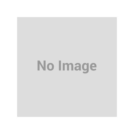 Gehäuse Link LKDVR6N 2 Schlösser Ablage 580x550x160mm