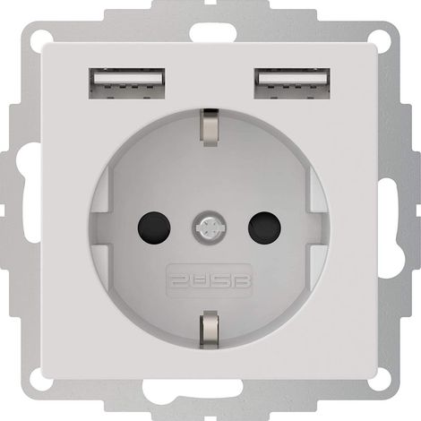 2USB inchargePRO USB AA Steckdose 12W 2.4A Mattes Weiß (1/5)