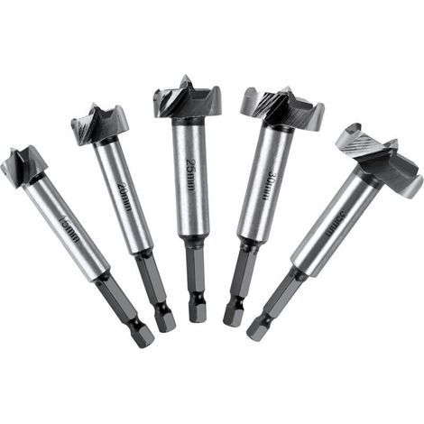 Mèches Bois, Coffret de 5 Fraise Bois Façonner à Poignée Hexagonale Positionnement Ajustable Scie Cloche au Carbure HSS pour Bois Massif, Liège, Attelle, Contreplaqué(15,20,25,30,35mm) (1/5)
