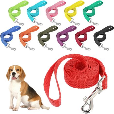 Laisses pour chiens - Lot de 12 laisses d'entraînement de 1.5m - Polyvalentes pour chiens petits à moyens (1/5)