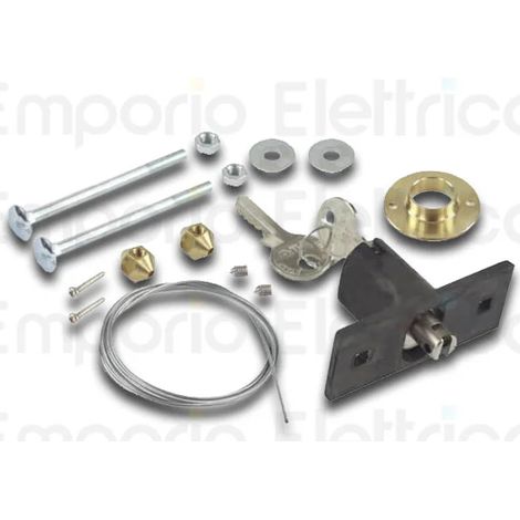 Faac – Dispositif externe de déverrouillage à clé pour portes de plus de 15 mm – Compatible moteurs D600 D700HS D1000 – Accessoire 424591001/36 (1/3)