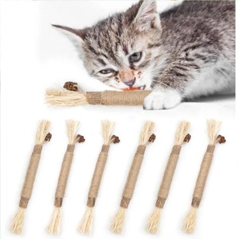 Natürliches Kauspielzeug für Katzen – 6 Stück, perfekte Geschenkidee für Kätzchen