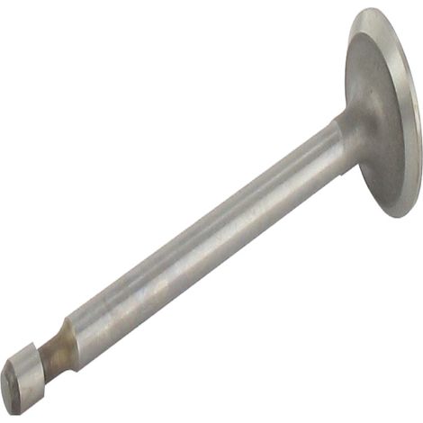 Soupape D'échappement Adaptable Pour Honda Modèle Gx120. Remplace Origine: 14721-zf0-000