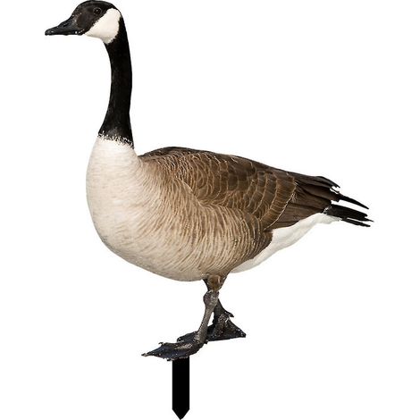 Realistische und dekorative Farfi-Ente, beidseitig bedruckt, rustikaler Stil, Acryl, für den Garten - G (1/5)