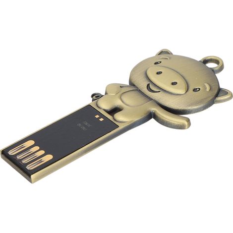 Clé USB 2.0 portable en métal étanche 32 Go pour Windows 7/8/10/Vista/XP/Unix (1/5)