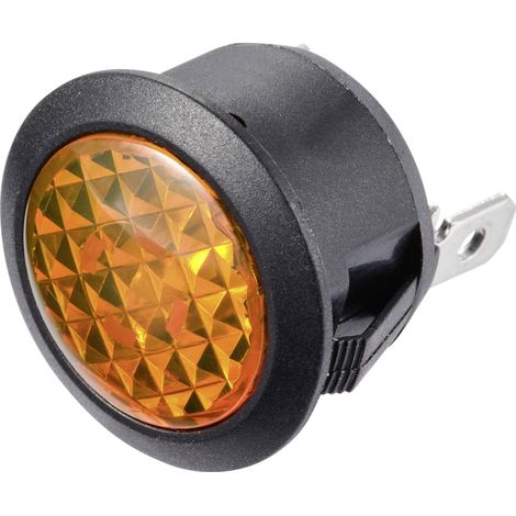 TRU COMPONENTS TC-11193664 Voyant standard avec ampoule 12 V/DC ambré 1 pc(s) (1/2)
