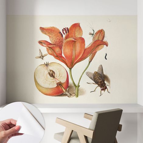 Tapete Selbstklebend - abwaschbar - trendige Wanddeko - elegant Fototapete Botanische Illustration 104x70 cm (1/5)