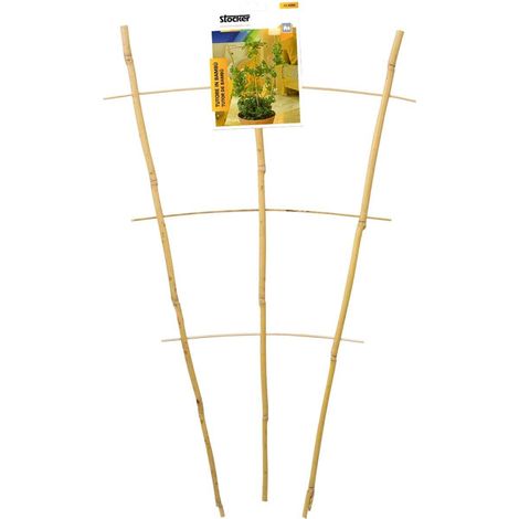 Stocker Bamboo unterstützt 38 x h60 cm