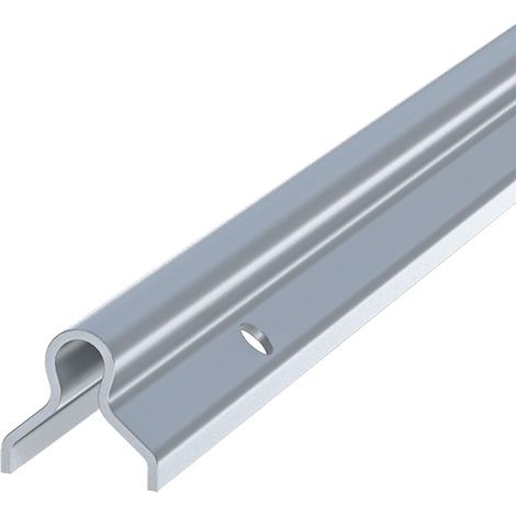 Metalideal  Rail de portail à sceller gorge ronde 20 mm - Longueur 3 mètres