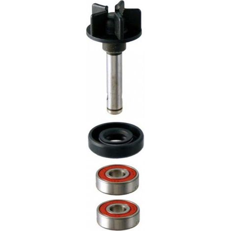 rms wasserpumpe für roller suzuki 50 ay 2001 bis 2004 aa neu