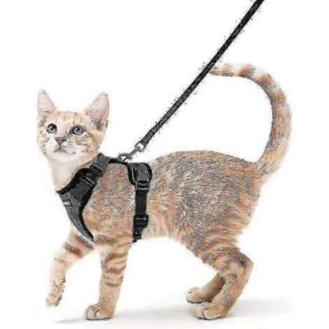 Harnais et laisse Rabbitgoo pour chat, harnais gilet souple et réglable anti-fugue pour chats, facile à contrôler-Small-Black (1/5)
