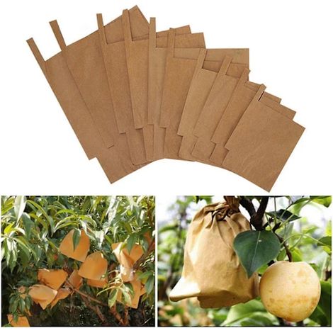 Filiyano-Lot de 100 sacs de protection pour fruits et légumes (150 x 180 mm) (1/5)