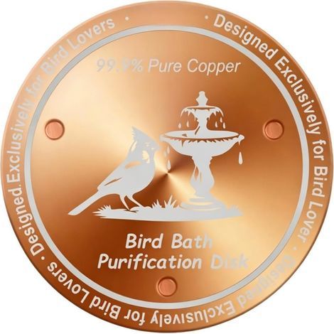 Reiniger mit Kupferplatte natural Metallscheibe (1/5)