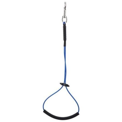 Cerceau de toilettage simple pour chien et chat pour table de bain pour animaux de compagnie (1/4)