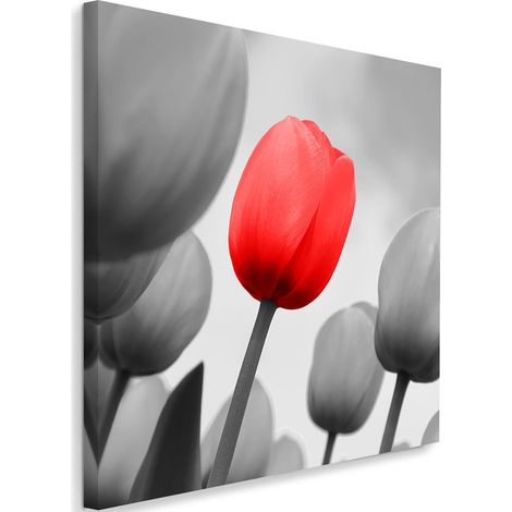 Tableau sur toile Fleurs de tulipes rouges 50x50 (1/5)