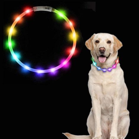 Collier lumineux pour chien, rechargeable par USB, collier de sécurité LED à longueur ajustable avec 2 modes de clignotement pour chiens et chats de petite, moyenne et grande taille (multicolore) (1/5)