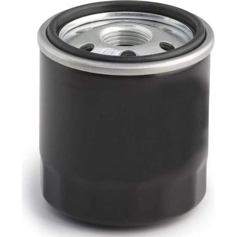 Filtro de aceite Hippotech para Kawasaki 49065-2057, 49065-2070, 49065-2071 (1/5)