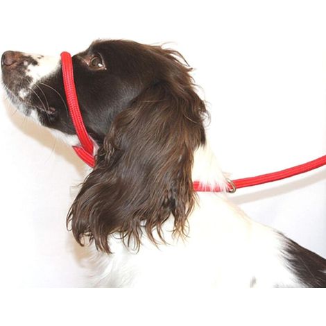 Laisse anti-traction en forme de 8 / Licol / Collier de tête (ROUGE) - Taille unique - Nylon tressé ultra doux - Instructions de réglage incluses - Confortable. K