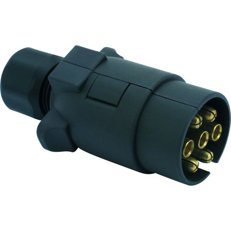 Scheda Maschio 7 Posti