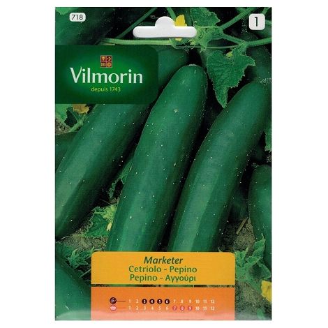 Graines de concombre Vilmorin 5g