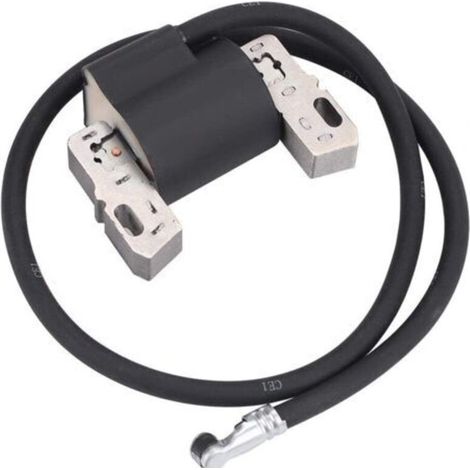 Pack bobine d'allumage haute tension adapté pour 398811 395492 398265 395326 (1/4)