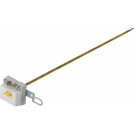 Thermostat à canne l:450 - CHAFFOTEAUX : 61300904