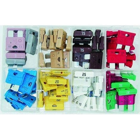 Elettrico fusibile STANDARD - 80 pezzo