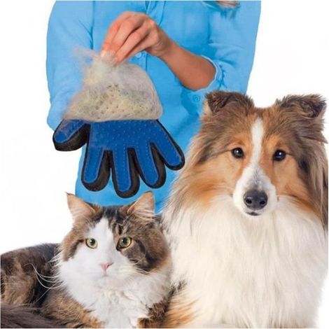 Gants de massage pour animaux, adaptés au massage et au toilettage des chiens, chats et autres animaux à fourrure. (1/3)
