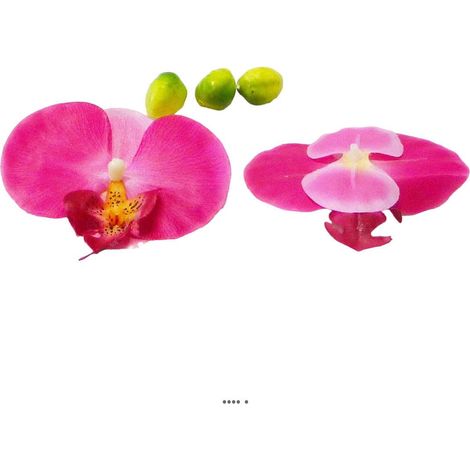 Têtes fleurons Orchidée Phalaenopsis factices x9 3 boutons Rose fushia - couleur: Rose fushia 730