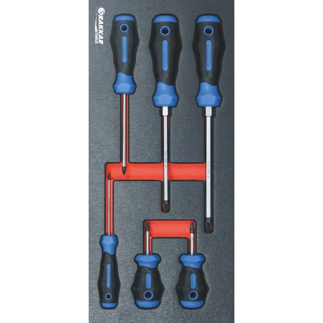 Module mousse 395x178mm métal tournevis pozidriv® - 6 pcs - Ce produit de marque DRAKKAR est neuf.