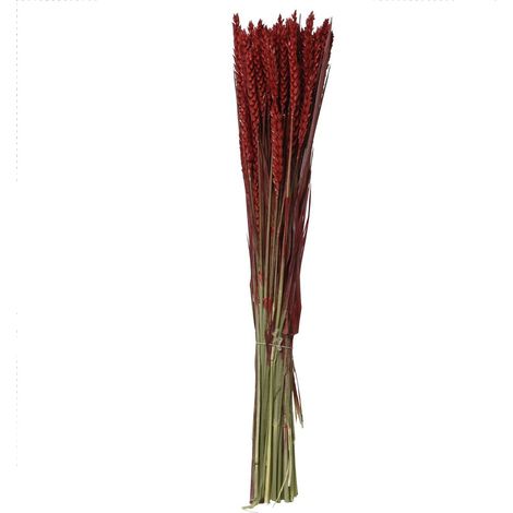 Kaemingk Trockenblumenbund Weizen Rot Ø 14 cm 55 cm - Bund