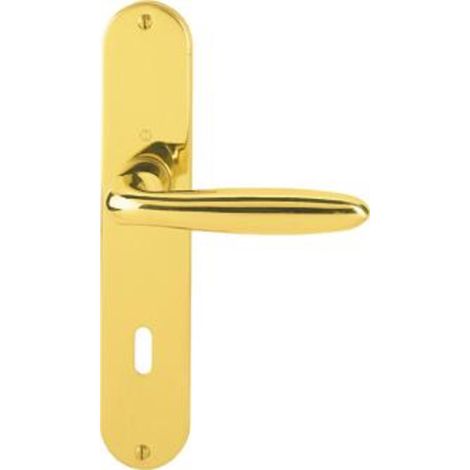 Ferrures porte F49R M151/302,8/72PZ