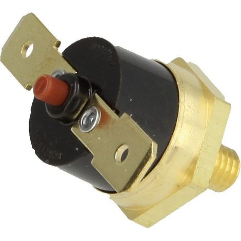 Frisquet Sécurité de surchauffe 220 V